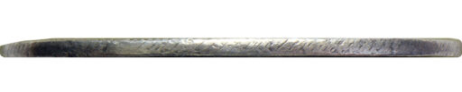 1 рубль 1725 года «солнечный» (3)
